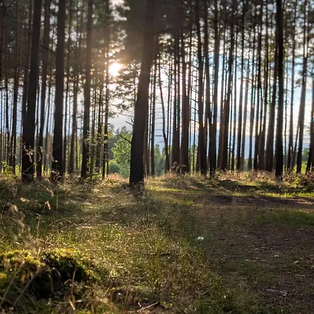 Bory Tucholskie Laso Przestrzen Hébergement de vacances Kujawy