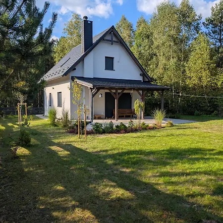 Bory Tucholskie Laso Przestrzen
