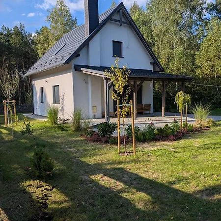 Bory Tucholskie Laso Przestrzen *